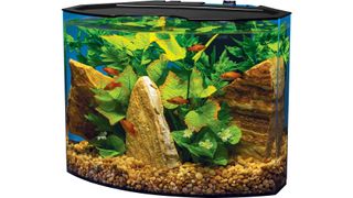 best small fish tank