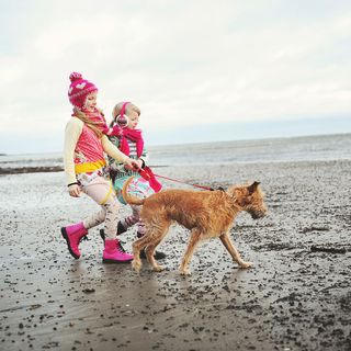 girls and don on the beach