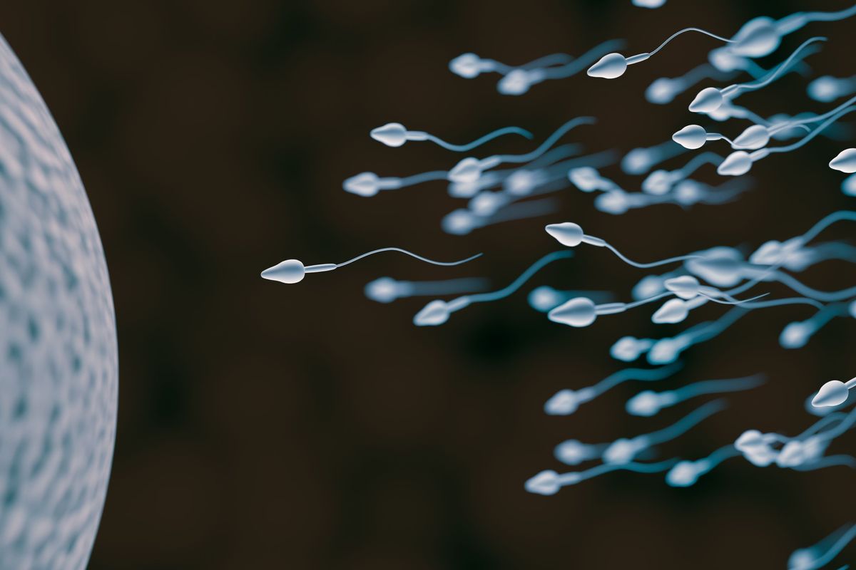 COVID-19 may decrease sperm count, small study found