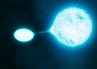 Mergers between stars, the ultimate fate of around 20–30% of O-type stars, are violent events. But even the comparatively gentle scenario of vampire stars, which accounts for a further 40–50% of cases, has profound effects on how these stars evolve.