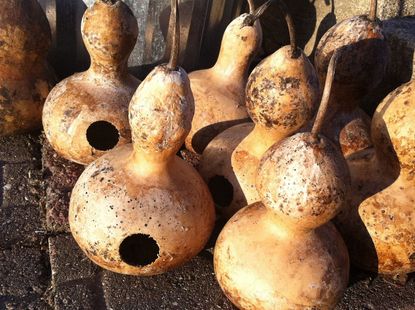 Bird House Made Of Gourd