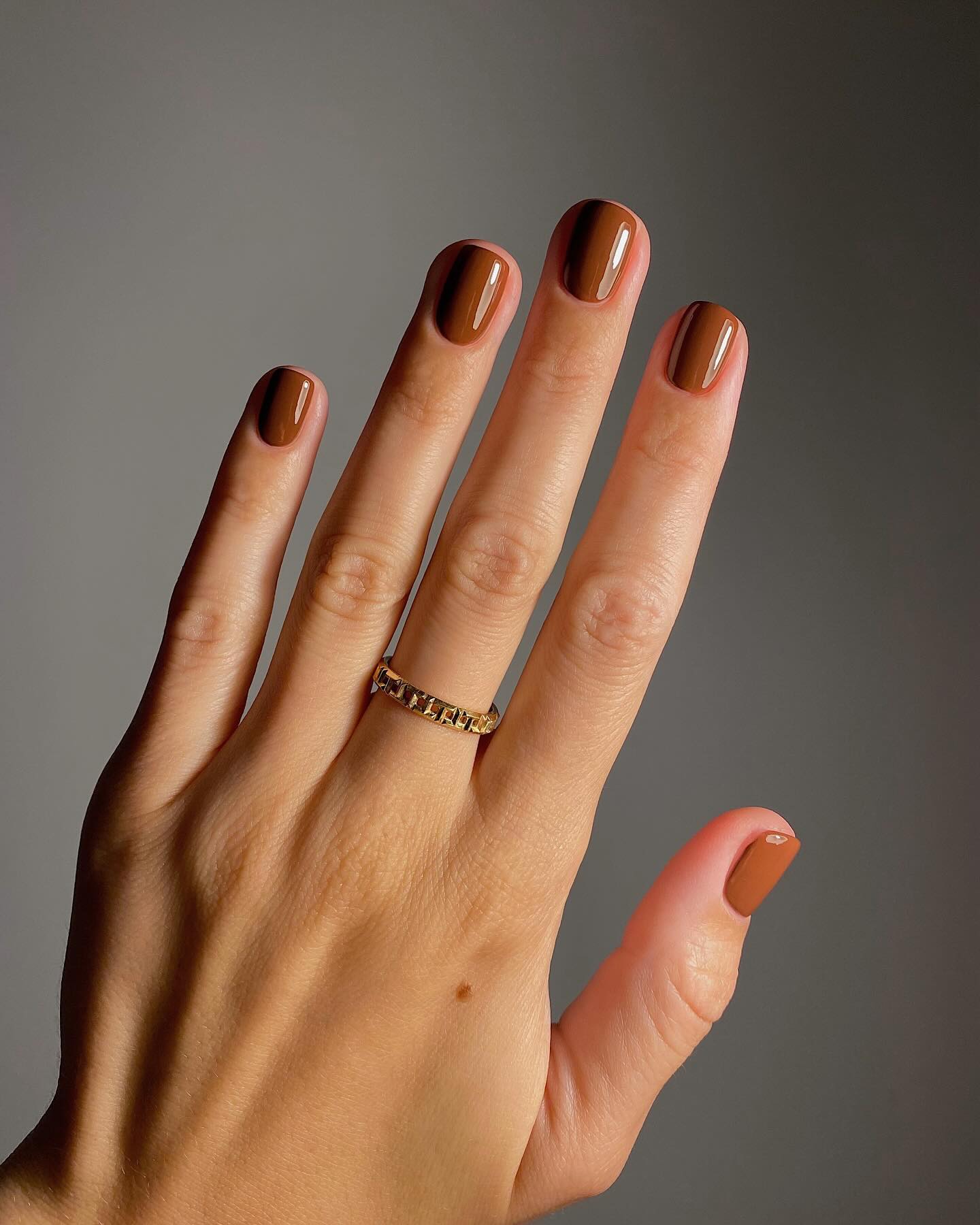 A chestnut brown manicure by Mateja Novakovic