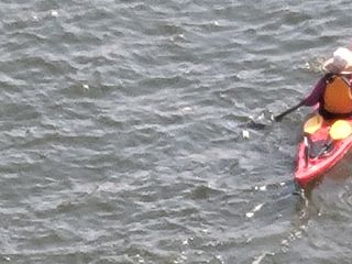 Samsung Galaxy Note 20 Ultra camera roll