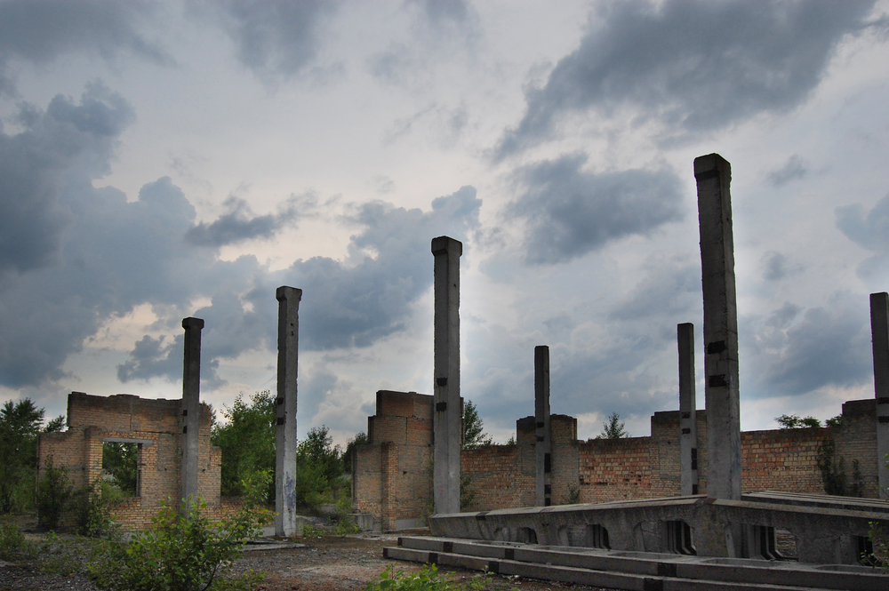 chernobyl, Chernobyl disaster, chernobyl catastrophe, plants decay chernobyl, decomposition, leaf litter