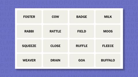 NYT Connections hints and answers for Monday, January 26 (game #960
