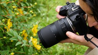 A lifestyle photo of the Tamron 18-300mm f/3.5-6.3 Di III-A VC VXD on a Canon camera taking macro photos