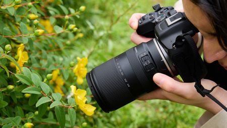 A lifestyle photo of the Tamron 18-300mm f/3.5-6.3 Di III-A VC VXD on a Canon camera taking macro photos