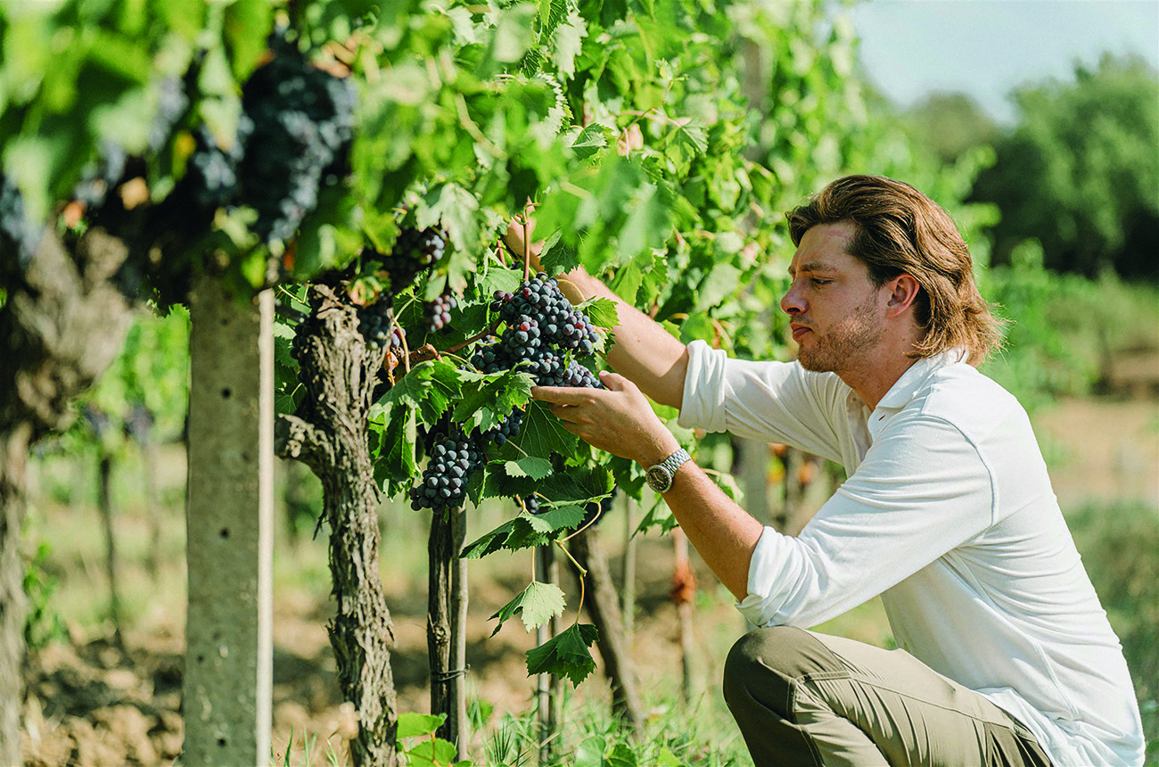 Santiago Marone Cinzano