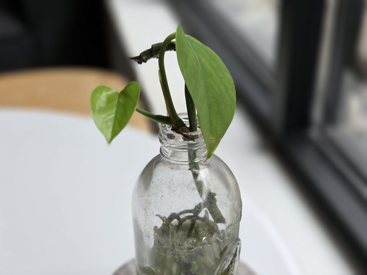 Galaxy Z Fold 8 camera sample