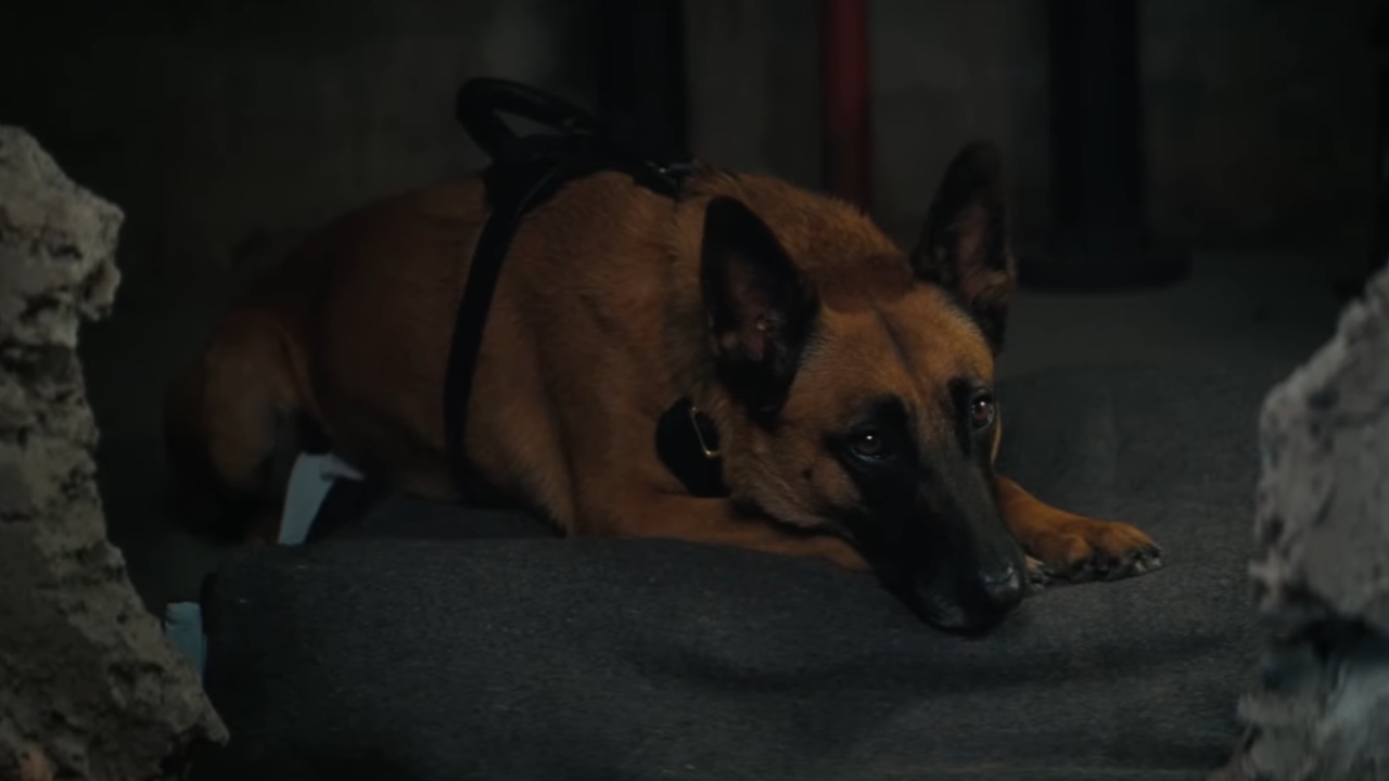 the dog in Fallout TV series