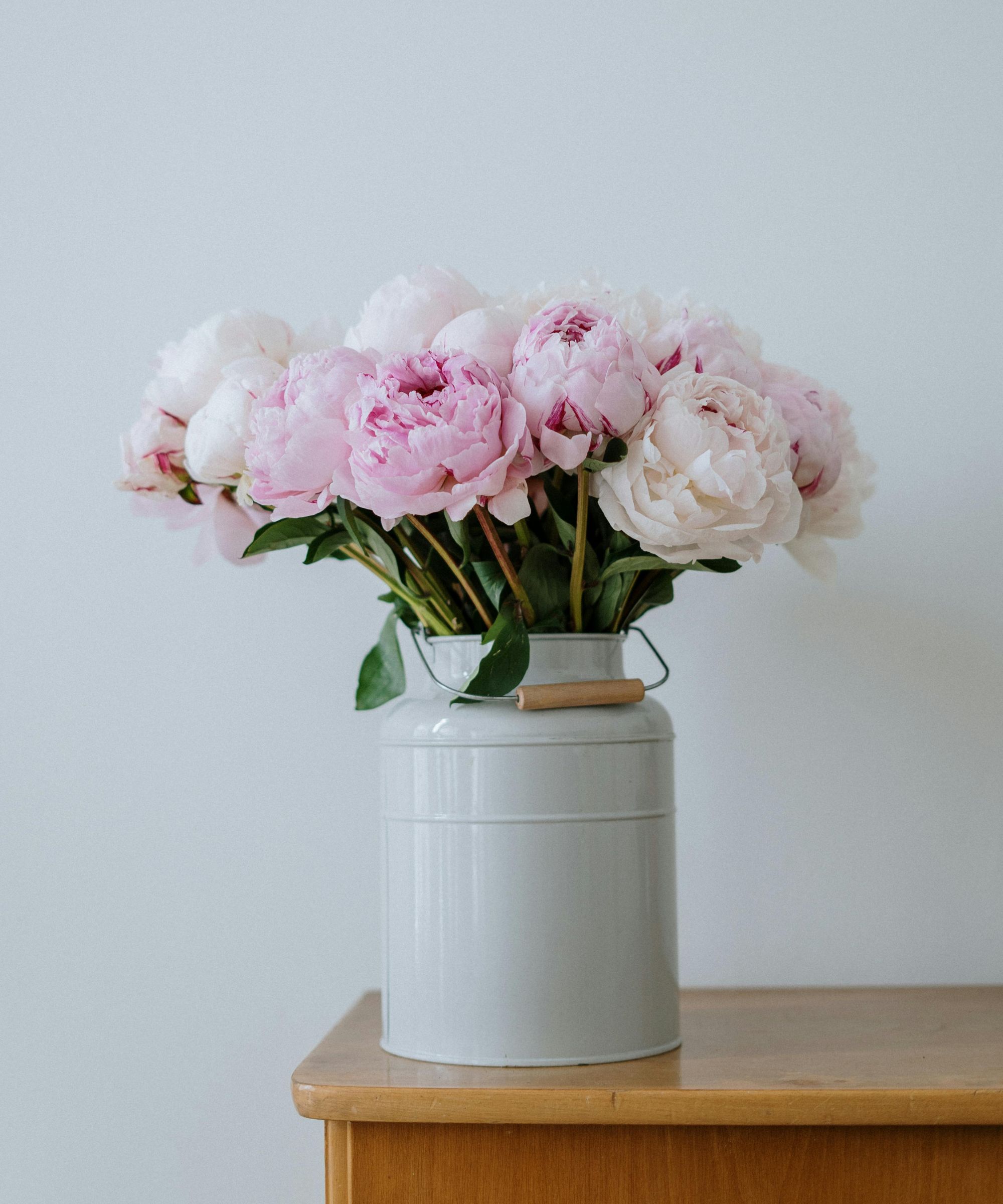 Bunch of pink peonies in an enamel milk churn on a wooden sideboard