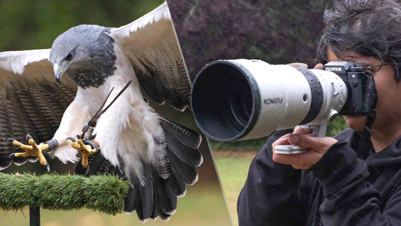 I photographed eagles, falcons and owls with the new Fujifilm 400mm telephoto lens — and Fuji should take my money already