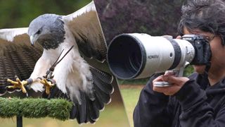 A buzzard-eagle and a woman holding a Fujifilm X-H2S with a Fujinon XF 400mm F4.5 R LM OIS WR lens