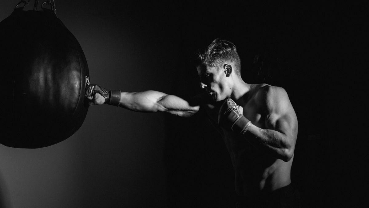 free standing punch bag sports direct