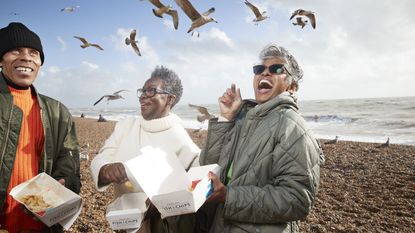 An older man and two older women are at the beach, laughing as sea gulls fly around above them.