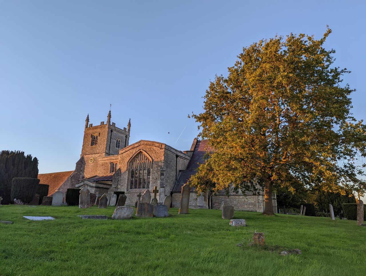 Google Pixel 6 image samples