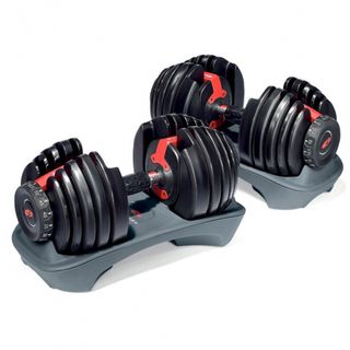 Bowflex Dumbbells