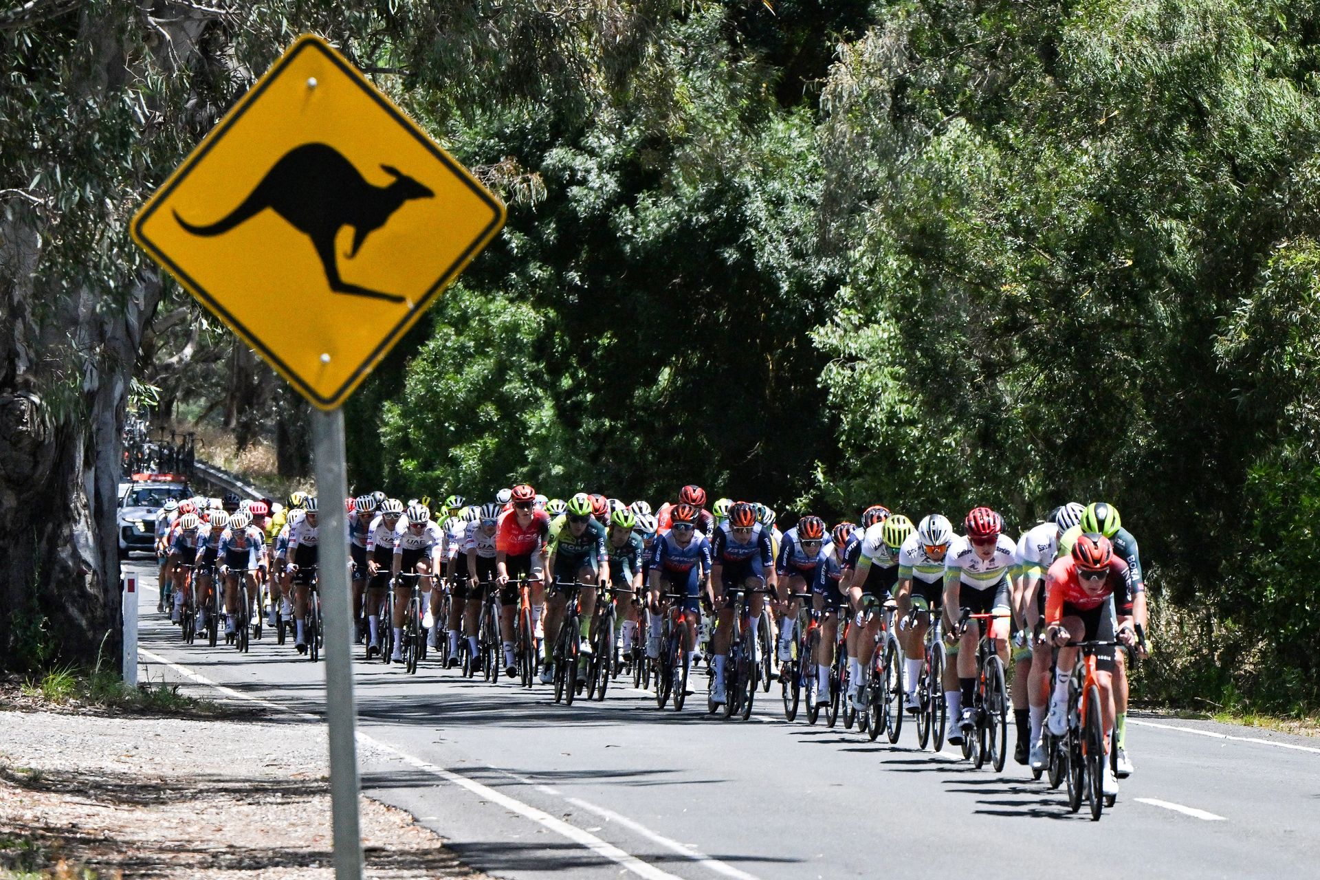 Big names and young super talents stand out on Tour Down Under start