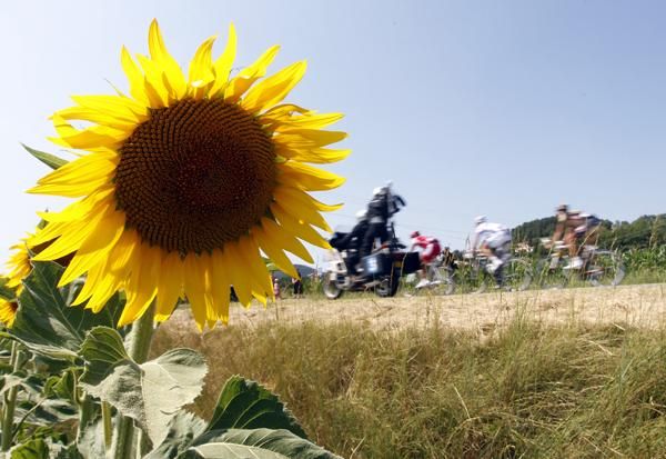 The peloton pass along French fields