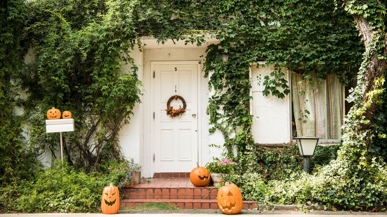 A white house with a door with a fall wreath, with green leaves adornin the outside of it, and small orange pumpkins on the steps and on the white mailbox