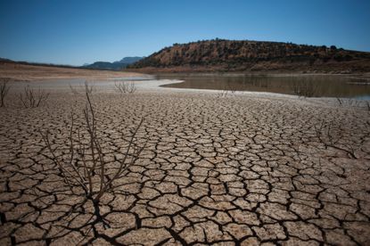 Dry, cracked ground in Spain