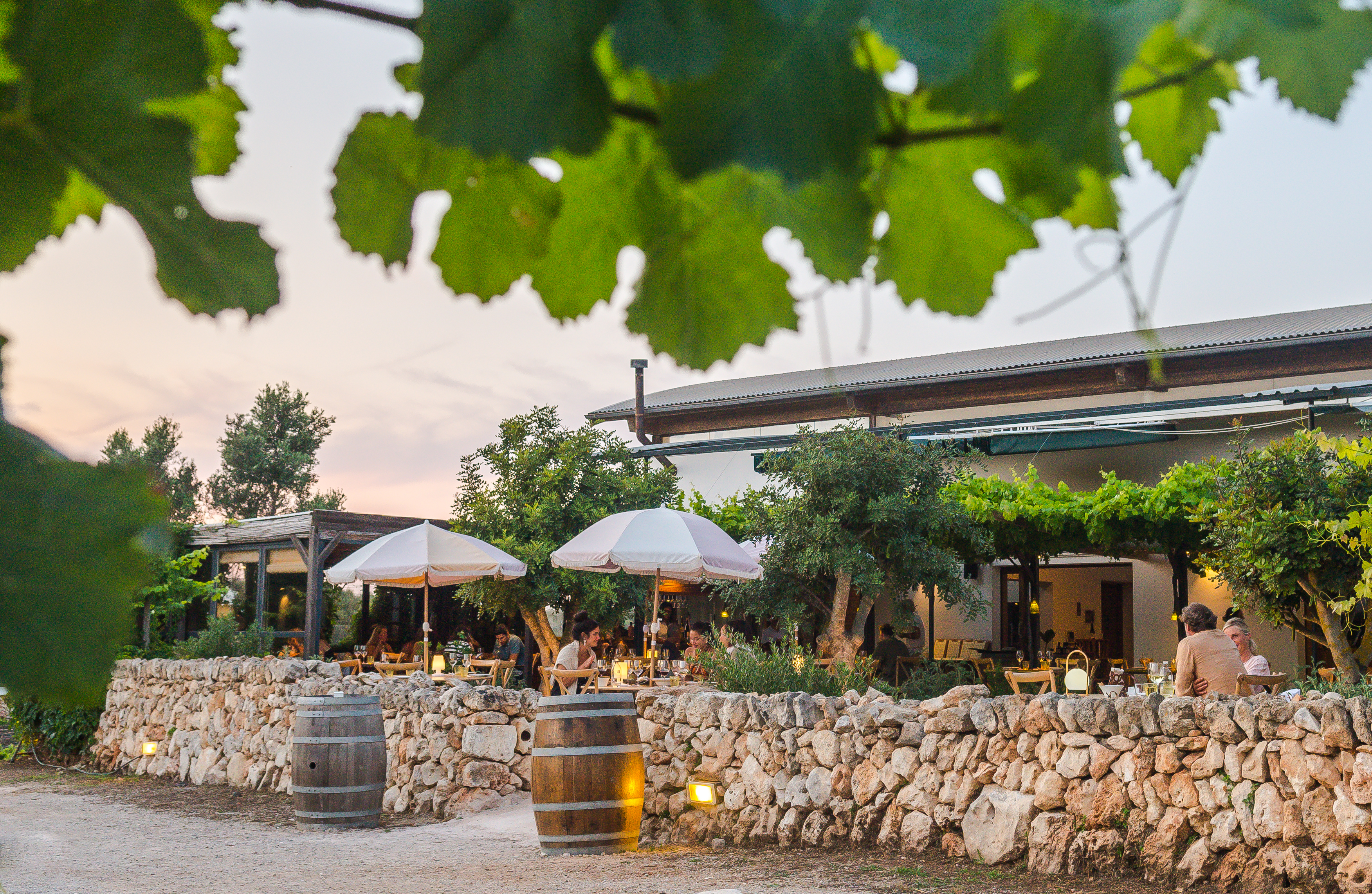 the exterior of the menorca restaurant and winery bodegas binifadet featuring candle lit tables under trees at sunset