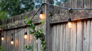 wooden fence strung with fairy lights