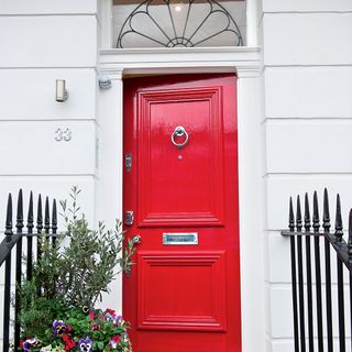 house entrance has red door and flower plant