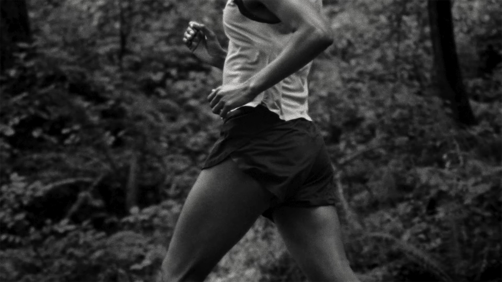 Ciele Icon Collection