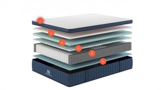 Diagram of the Brooklyn Bedding Aurora Luxe Mattress without pillow top