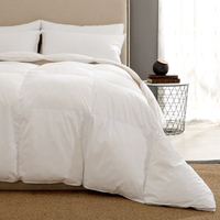 Three Posts Winter Comforter Down Duvet | Was $105.99, now $78.99