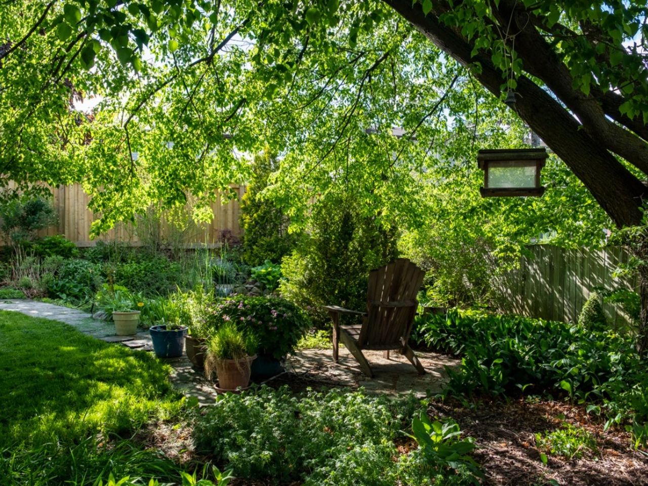 A Shady Garden Full Of Plants