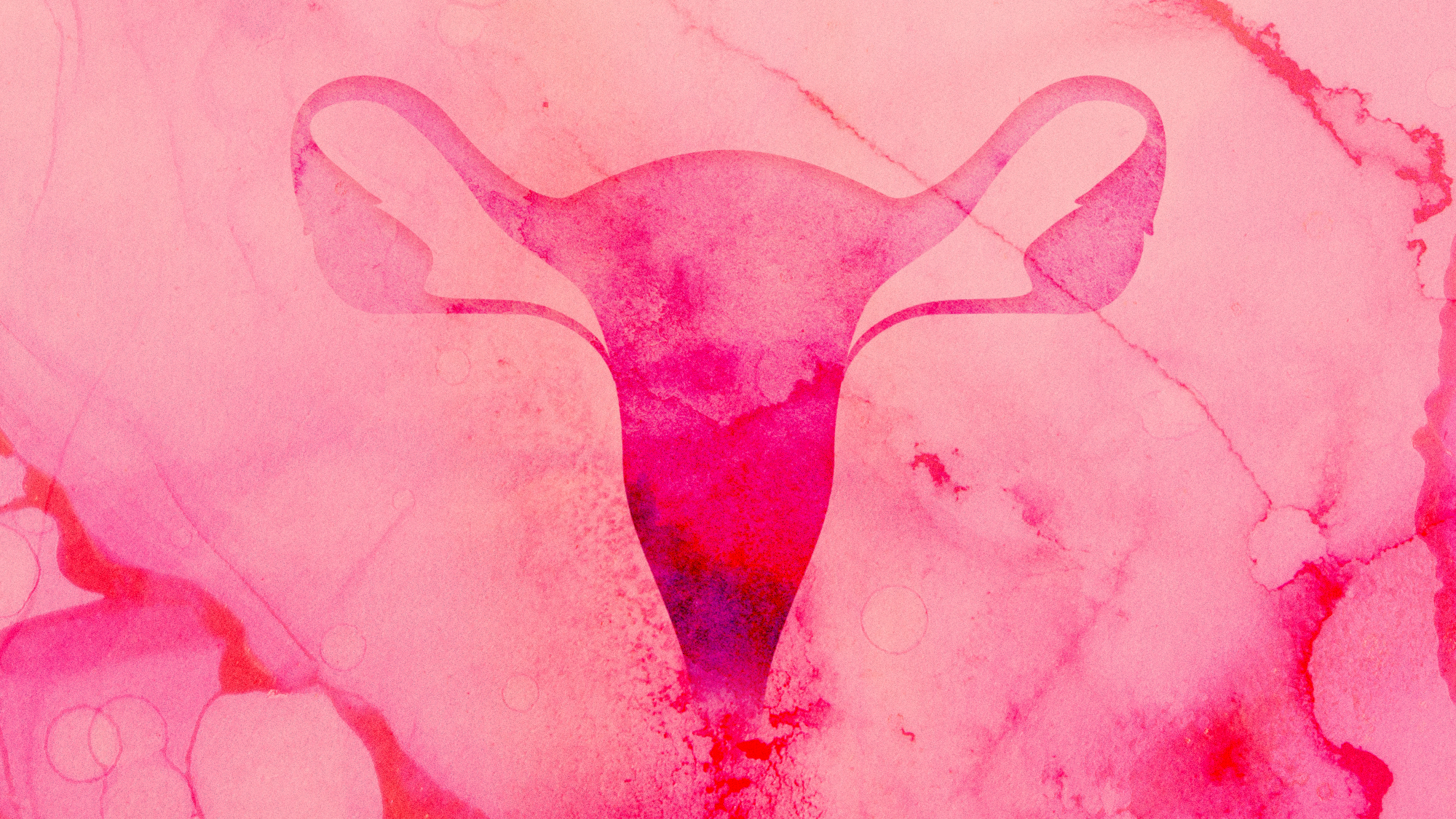 Illustration of a uterus silhouette against splashes of colourful ink