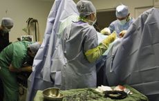 Equine vet stories Pedunculated lipoma is a common cause of colic surgery in horses