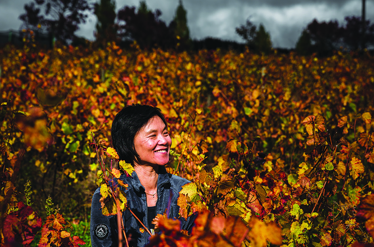 mee godard, beaujolais