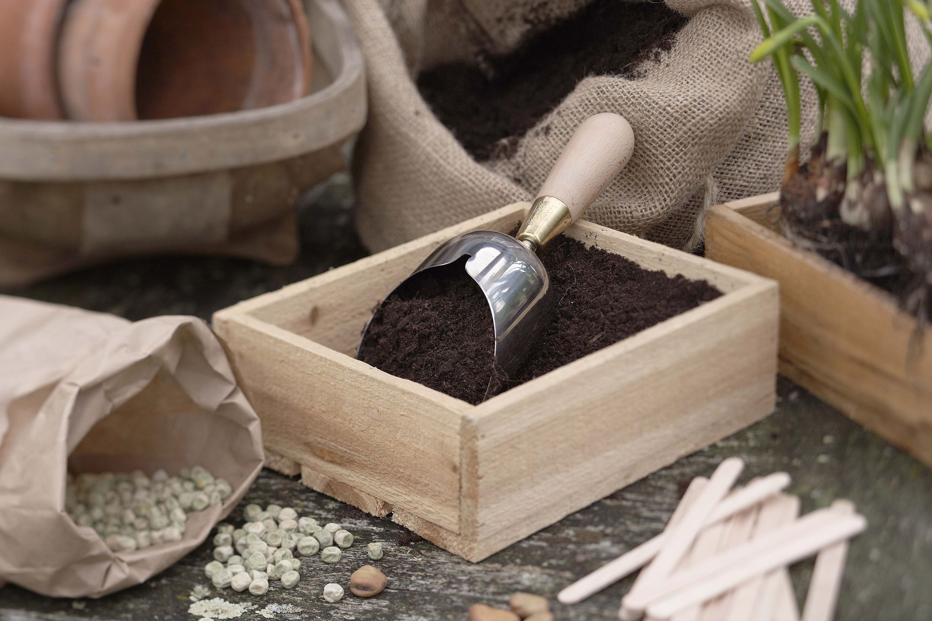 small wooden seed tray filled with compost and ready to be planted with seeds