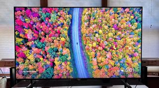 Hisense U8K TV showing colorful trees