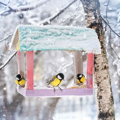 birds flocking around a bird feeder in winter