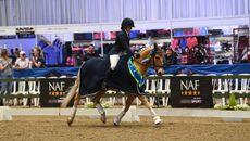 Area Festival Championships Sophie Taylor Vision Of Dreams