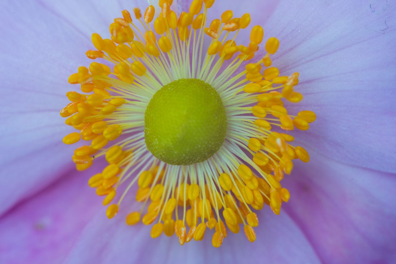 AstrHori 120mm F2.8 Macro 2x