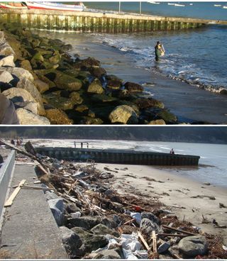 A beach before (top) and after (bottom) the 2010 Chile earthquake. The uplift the beach experienced created habitat that intertidal species rapidly colonized.