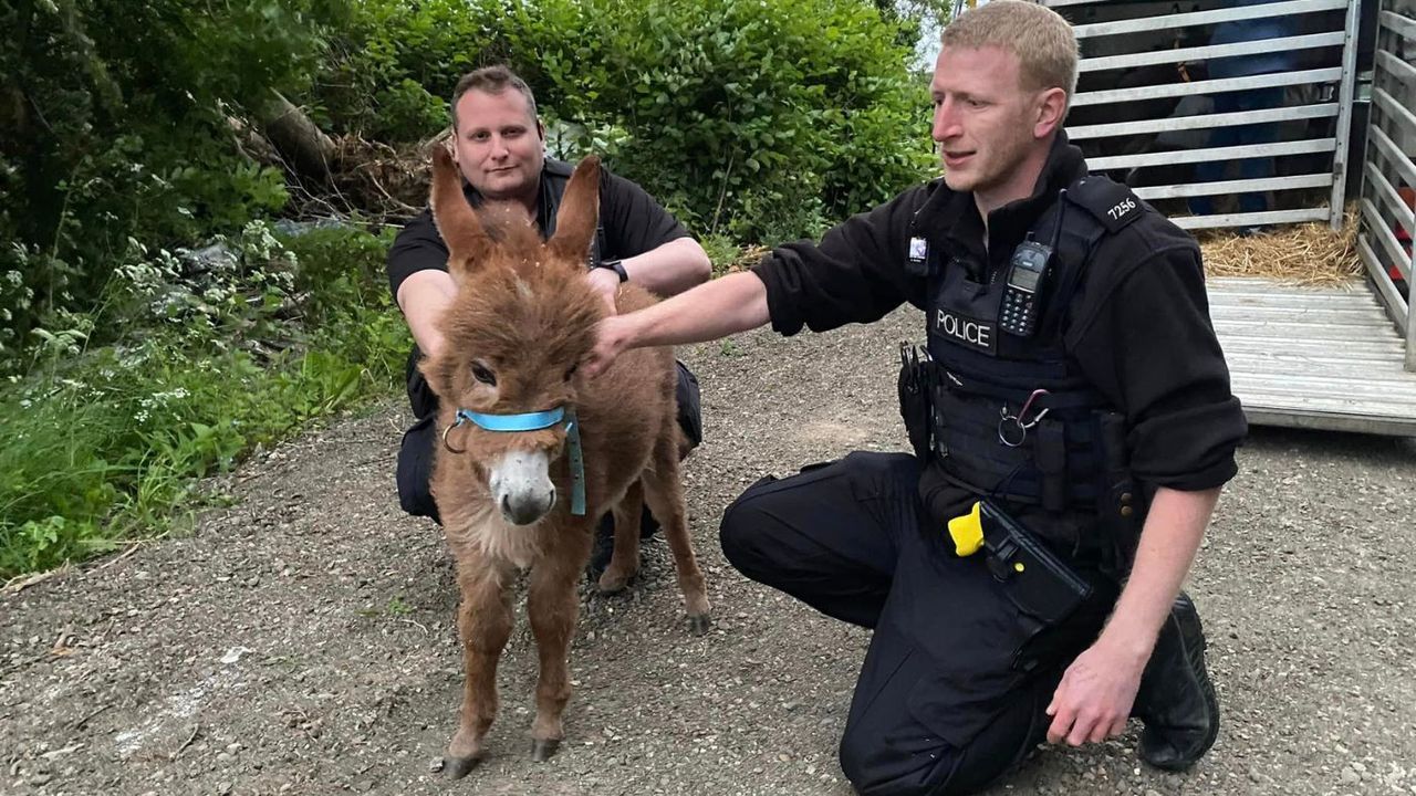 Moon was found by the police and returned 