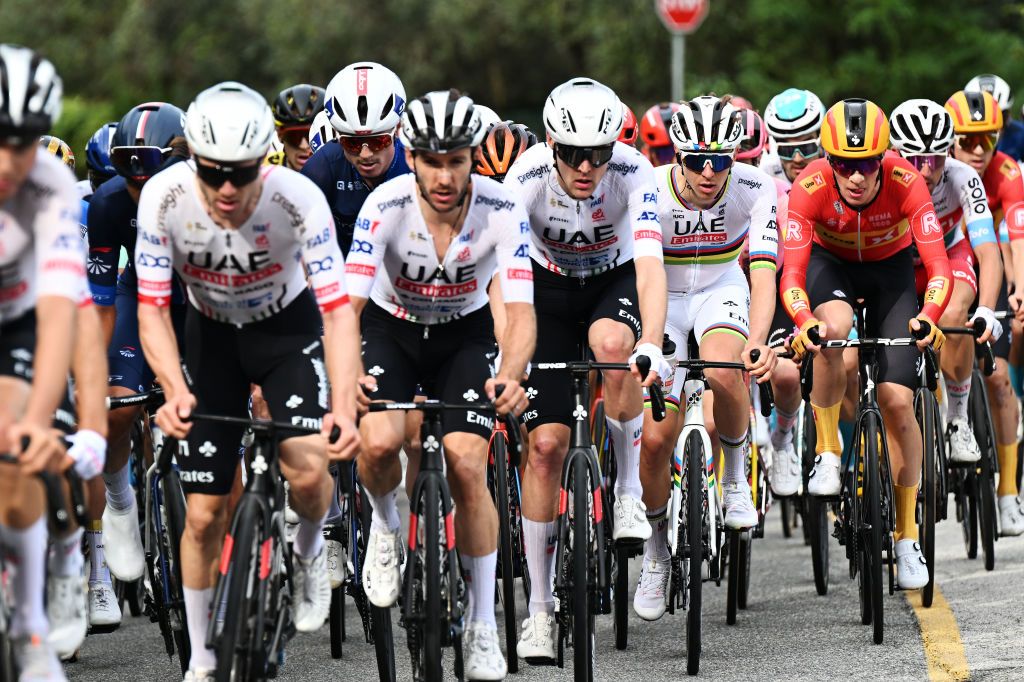 COMO ITALY OCTOBER 12 LR David Gaudu of France and Team Groupama FDJ and Tadej Pogacar of Slovenia and UAE Team Emirates compete during the 118th Il Lombardia 2024 a 255km one day race from Bergamo to Como UCIWT on October 12 2024 in Como Italy Photo by Tim de WaeleGetty Images