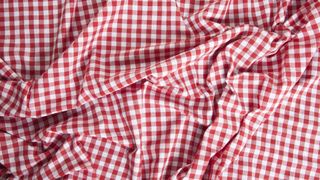 red and white checked picnic blanket
