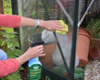 Cleaning greenhouse glass in winter to let in maximum light