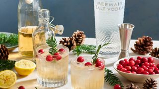 Mermaid Vodka Pine and Cranberry Buck