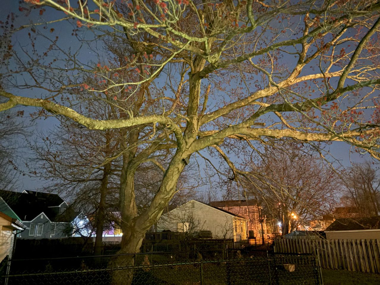 Apple iPhone 16 low light sample.