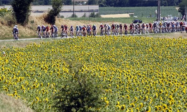 The peloton at the 2010 Tour de France