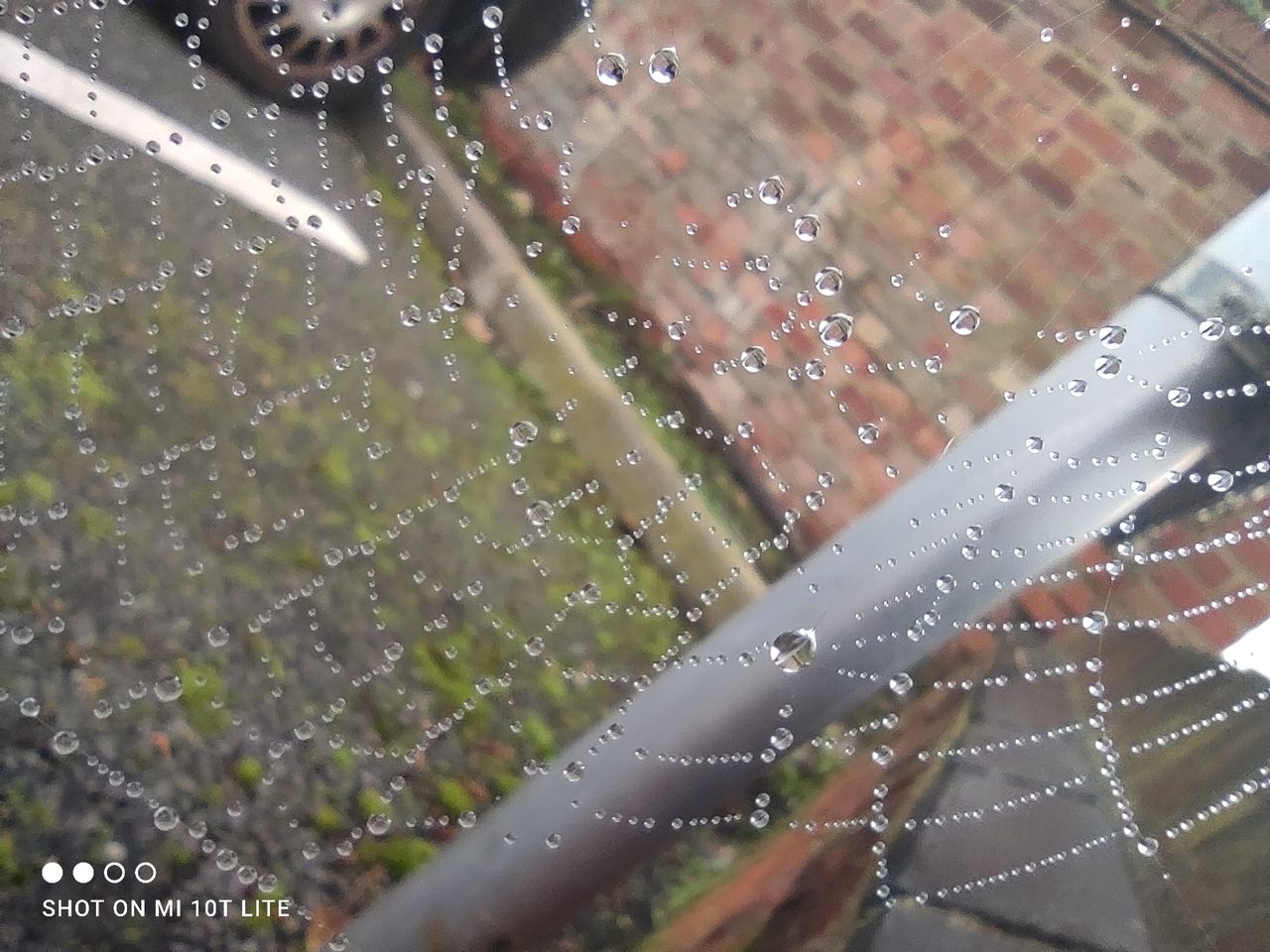 Xiaomi Mi 10T Lite camera sample