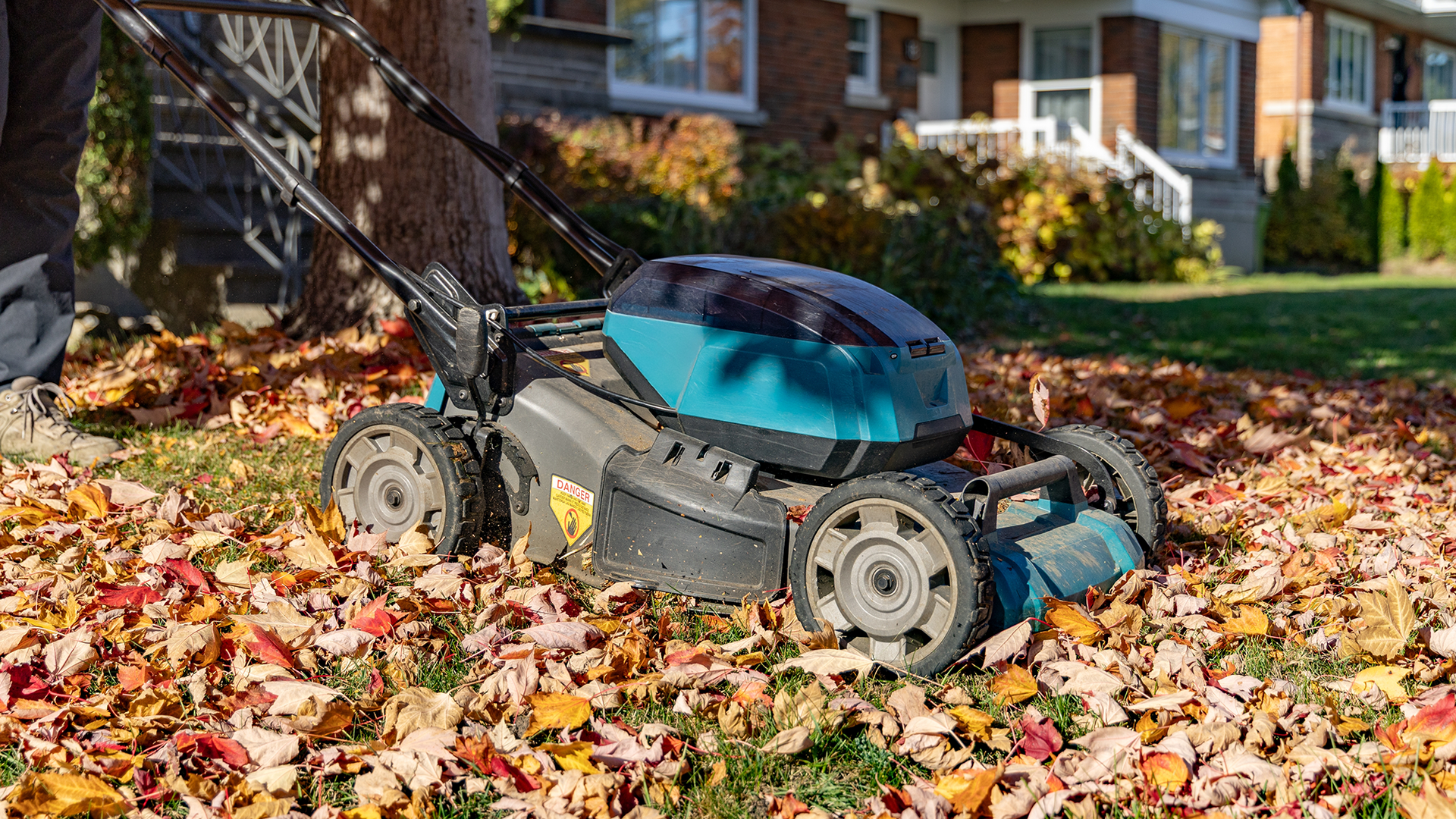 Lawnmower going over fallen leaves in the fall